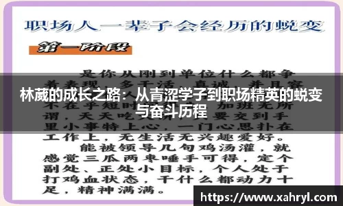 bellbet贝博首页
