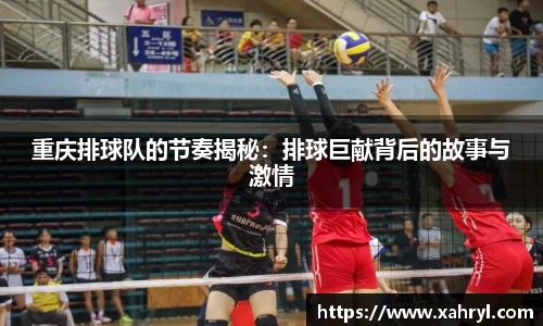 bellbet贝博APP